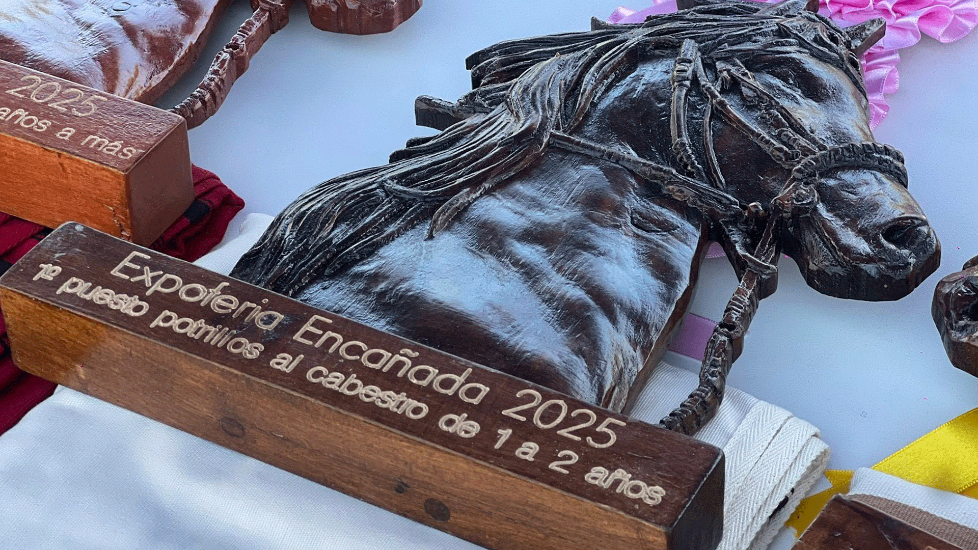 PREMIOS PARA EL OCTAVO CONCURSO DE CABALLO DE PASO